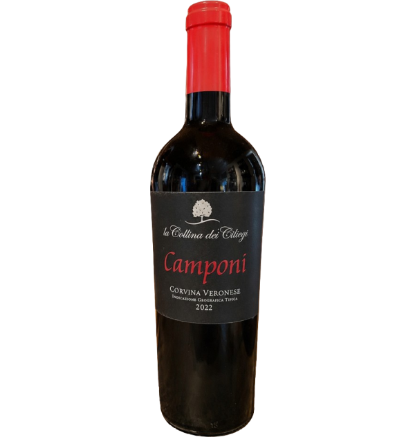 camponi